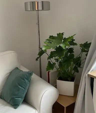 Gemutliche In Bredeney Apartment